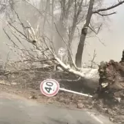 Conciencia climtica: el Zonda activa las precauciones del 85% de los mendocinos