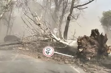 Viento Zonda en Mendoza. Imagen de Archivo