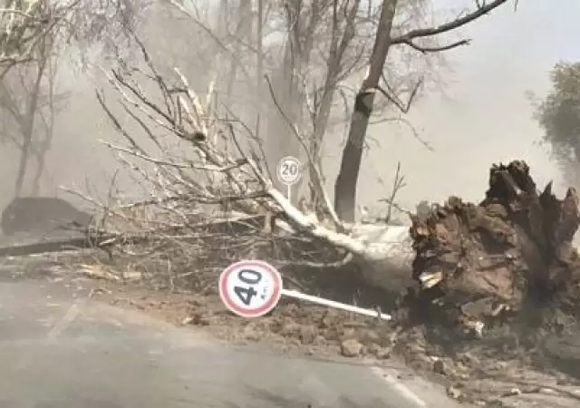 Viento Zonda en Mendoza. Imagen de Archivo