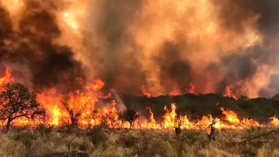 Camnpos incendiados en Crdoba