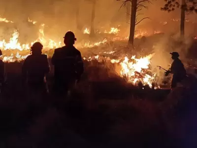 Bosques arrasados