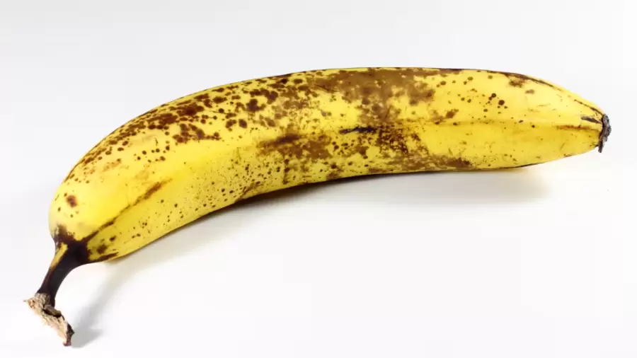 El etileno, gas natural que producen las bananas, es el responsable de que se oscurezcan, cambien el sabor y se ablanden.