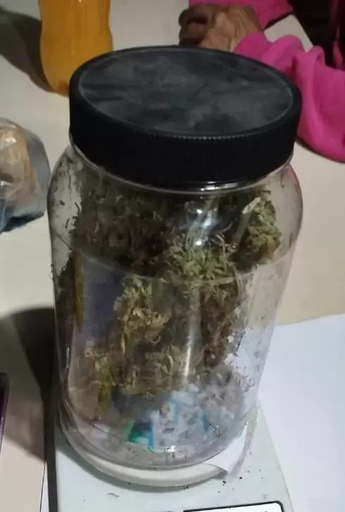 cogollos de Marihuana en Godoy Cruz.