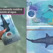 Billete de Maldivas que es resistente al agua: �ser� cierto?