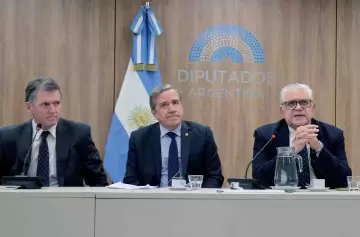 La discusin se da en la Cmara de Diputados.