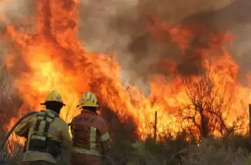 El proyecto declara la emergencia ambiental en Crdoba por 180 das