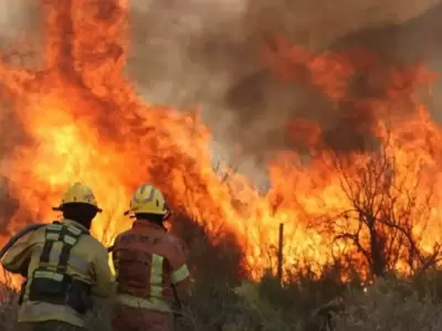 Sabotaje poltico o vandalismo?  Ya son 15 los detenidos por los incendios