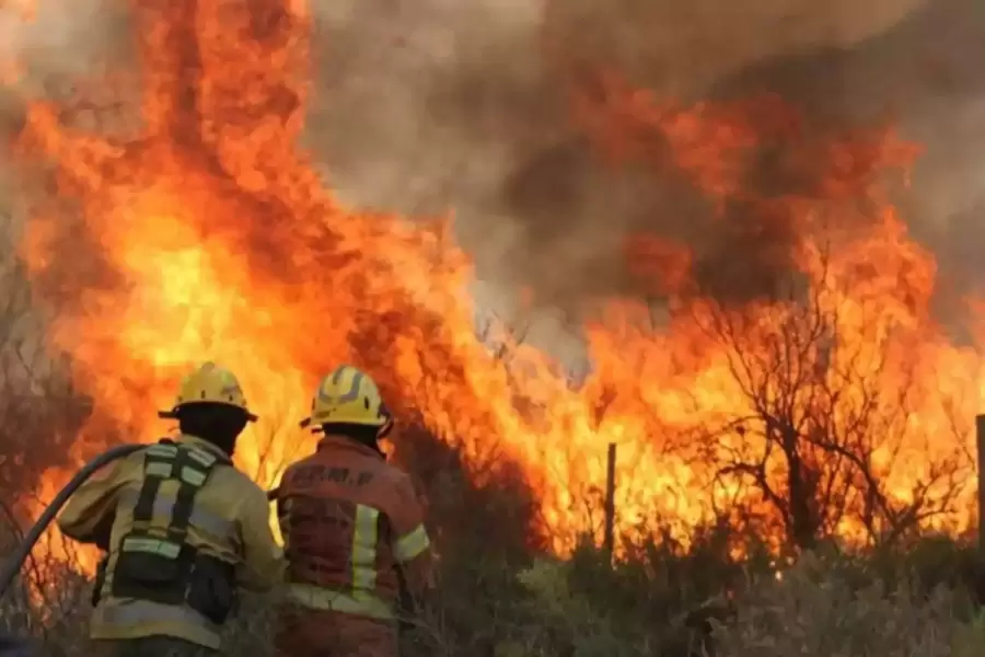 Incendios dolosos