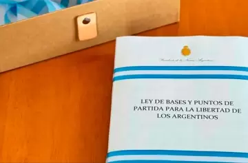 La ley Bases fue el primer intento reformista de Milei