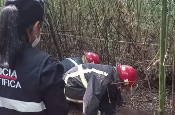 Miembros de la Polica Cientfica trabajan en el lugar donde fue encontrado el cadver. (Foto: web)