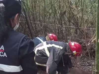 Miembros de la Polica Cientfica trabajan en el lugar donde fue encontrado el cadver. (Foto: web)