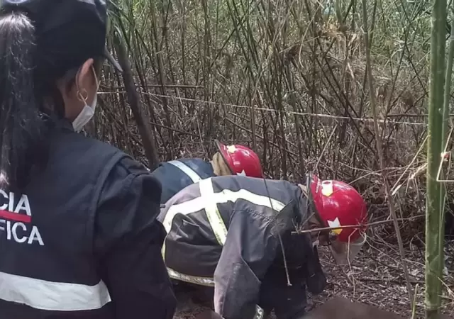 Miembros de la Polica Cientfica trabajan en el lugar donde fue encontrado el cadver. (Foto: web)