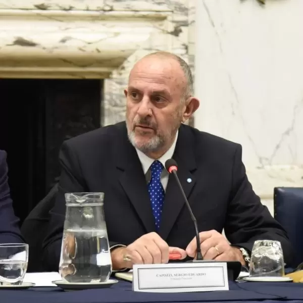 Diputado nacional por Río Negro (PRO), Sergio Capozzi.