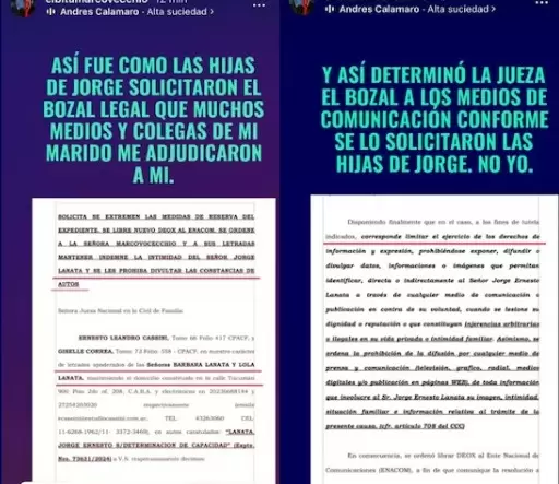 Esposa de Jorge Lanata habl sobre el levantamiento del bozal legal.