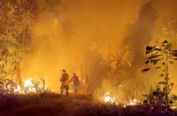 El Gobierno de Luis Arce se ha visto desbordado por los frentes de incendios y tendr que recurrir a un fuerte apoyo internacional.