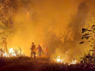 El Gobierno de Luis Arce se ha visto desbordado por los frentes de incendios y tendr que recurrir a un fuerte apoyo internacional.