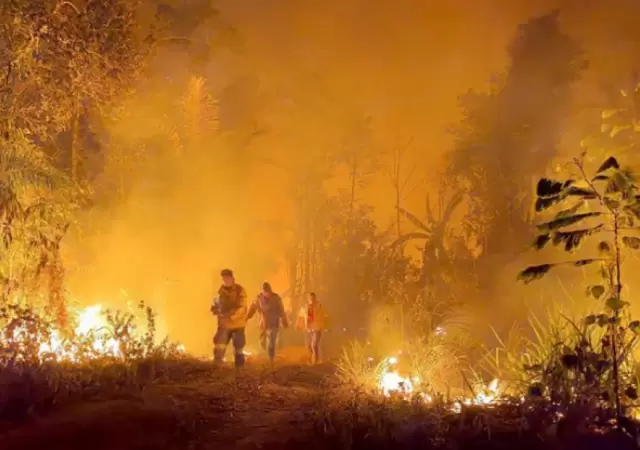 El Gobierno de Luis Arce se ha visto desbordado por los frentes de incendios y tendr� que recurrir a un fuerte apoyo internacional.