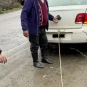 At a su perro y lo arrastr con el auto "porque tena olor a mojado"