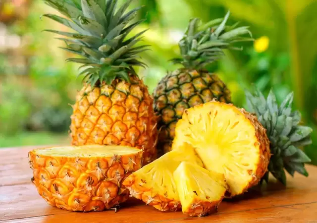 Pina