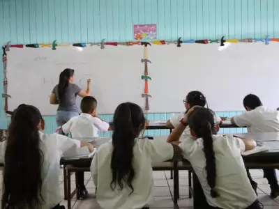 �Atenci�n pap�s! Comienza la inscripci�n para primer grado del ciclo lectivo 2025