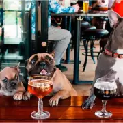 Rosario busca incrementar el turismo de una manera muy particular