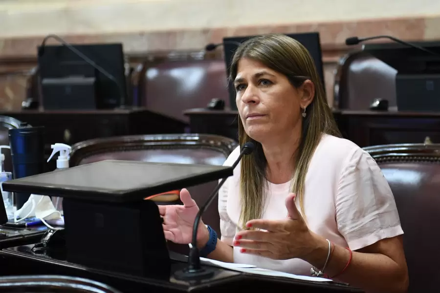 Senadora Tagliaferri
