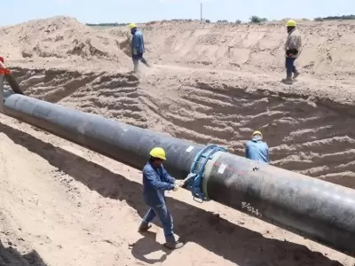 Mercado energ�tico: adi�s al gas boliviano, hola Vaca Muerta