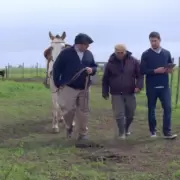 El primer Estatuto del Pe�n de Campo cumple 80 a�os en Argentina
