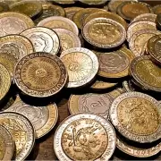 Fijate si la ten�s: una moneda de 1 peso de 2005 es un tesoro escondido