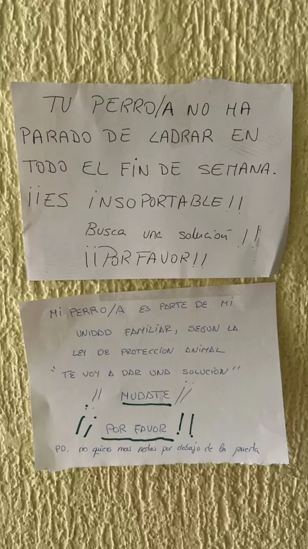 Las notas que fueron furor en X.
