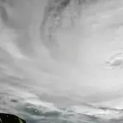 Alcaldesa de Tampa: "Si deciden quedarse en una zona de evacuaci�n, van a morir"