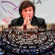 El conflicto entre el Ejecutivo y el Legislativo marca la gesti�n Milei