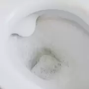 Truco casero: sal en el inodoro para un ba�o impecable