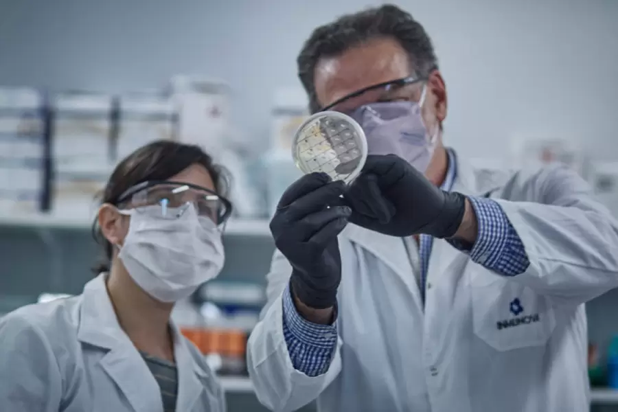 Investigación