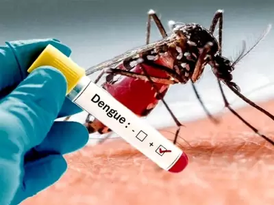 Combatir la epidemia