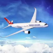 Tragedia en vuelo: un piloto de Turkish Airlines muri� en pleno trayecto