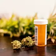 Inkillay invertirá $1.000 millones en la producción de cáñamo y cannabis medicinal