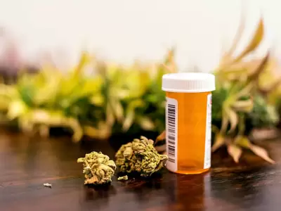 Cannabis medicinal en Mendoza.