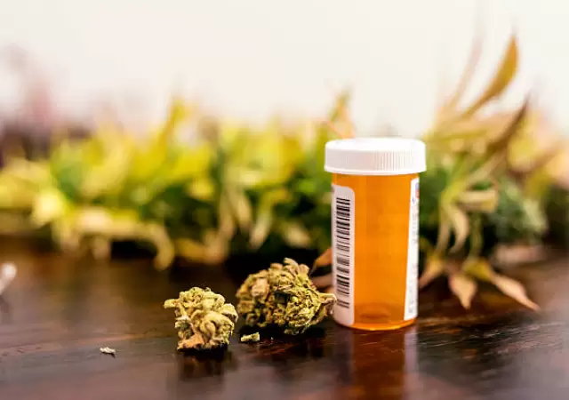 Cannabis medicinal en Mendoza.