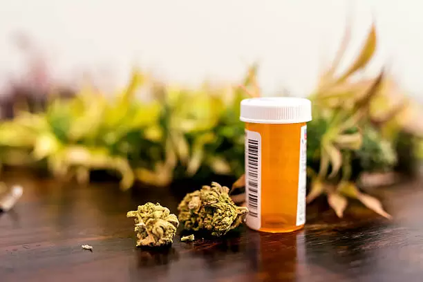 Cannabis medicinal en Mendoza