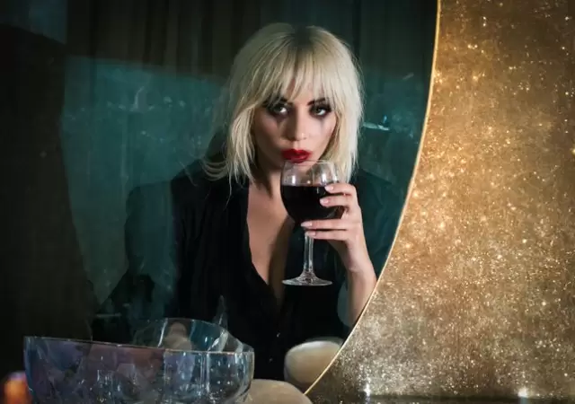 Lady Gaga se pronunci� fan de un vino argentino.