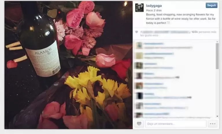 Lady Gaga presume un exquisito vino mendocino
