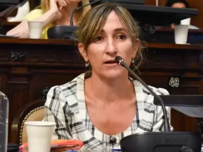 Diputada Mercedes Llano