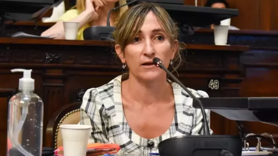 Diputada Mercedes Llano