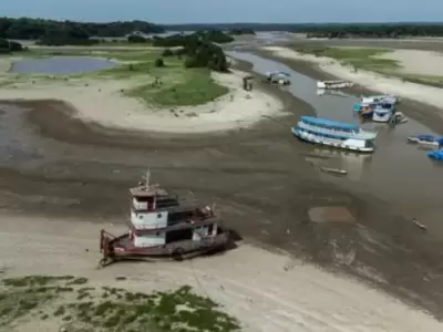 Las bajantes del Amazonas