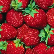 Frutillas: la receta m�gica para hacer un yogur casero, f�cil y delicioso