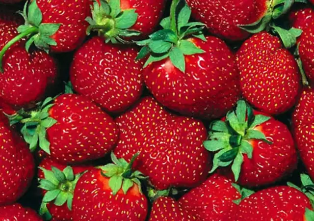 Llega el verano, y llegan ellas: las frutillas.