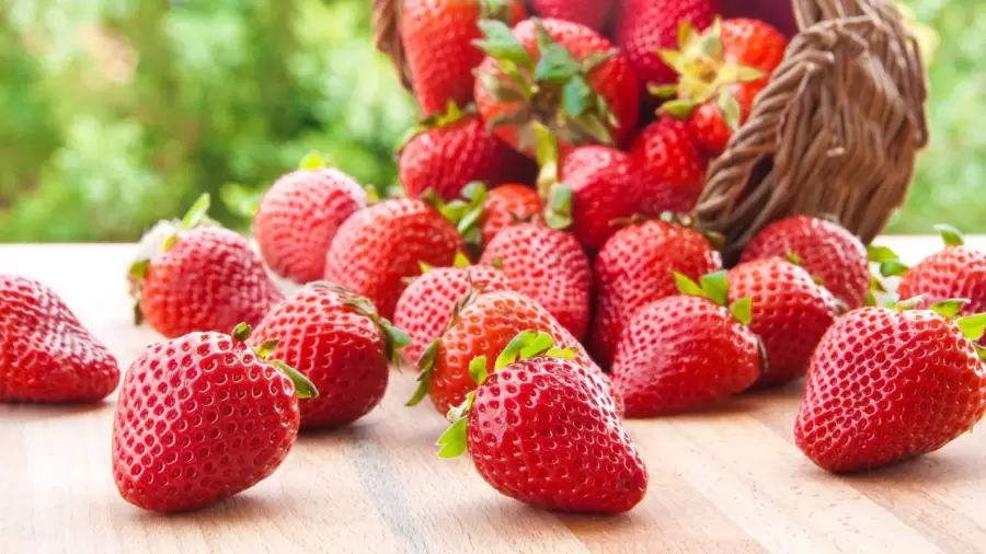 Rico, saludable, y f�cil de preparar: el yogur de frutillas, a la orden del d�a.