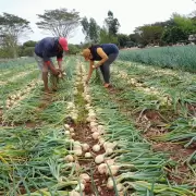 Aumenta la diferencia entre los precios del productor y los que paga el consumidor