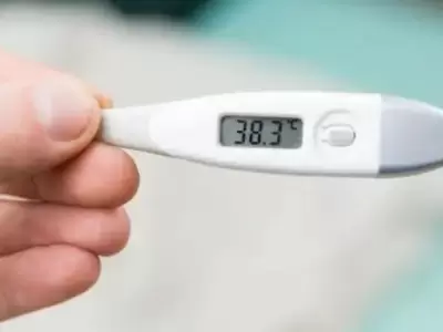 Influenza B, el virus respiratorio por el que muri� una nena de 13 a�os